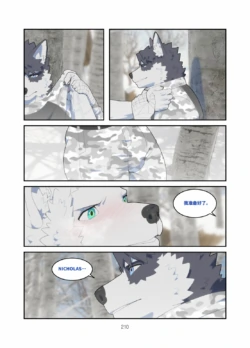 Page 211