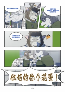 Page 275