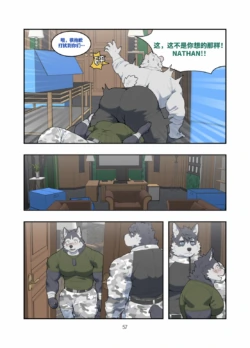 Page 58
