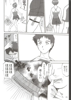 Page 27
