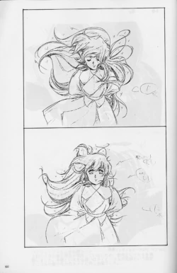 Page 101
