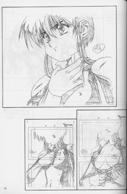 Page 73