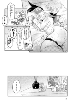 Page 29