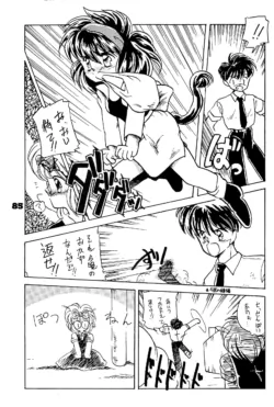 Page 85