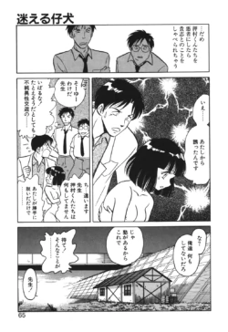 Page 62