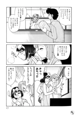 Page 27