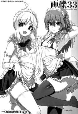 (C101) [Fatalpulse (Asanagi)] Gareki 33 (Various) [Chinese] [一只麻利的鸽子汉化]