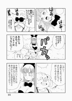 Page 66