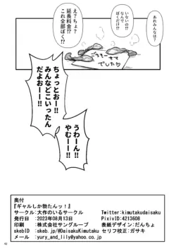 Page 41