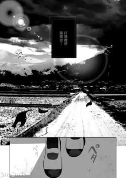 Page 311