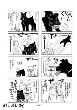 Page 205