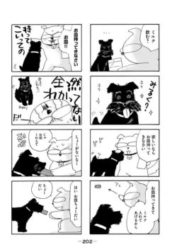 Page 204