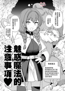 [Mo] Miryou Mahou no Chuui Jikou | 魅惑魔法的注意事項 [Chinese] [Origin個人測試漢化]