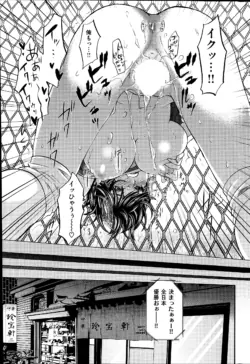 Page 261