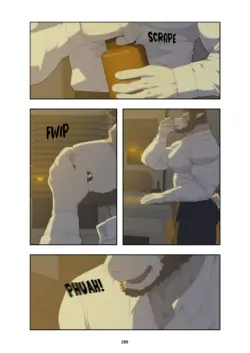 Page 333