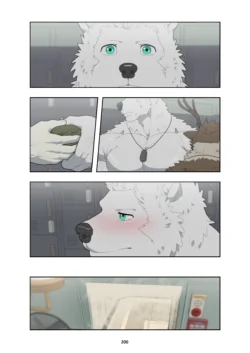 Page 244