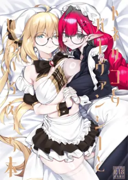 [Watochip Melonpan (Watosu)] Tonelico & Baobhan Sith to Iroiro Ecchi Hon | A book about Tonelico and Baobhan Sith doing various lewd things (FateGrand Order) [English] [Digital]