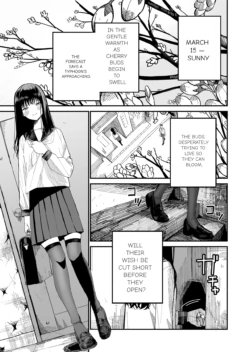 [Mameroku] Kimura Sensei Kansatsu Nikki | Mr. Kimura's observation diary [English] [Digital]