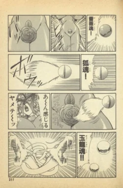 Page 213
