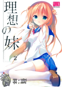 (C89) [INS-mode (Amanagi Seiji)] Risou no Imouto 2 [Korean] [팀 페로페로]