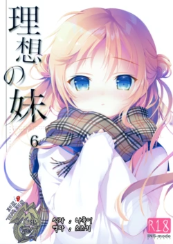[INS-mode (Amanagi Seiji)] Risou no Imouto 6 [Korean] [팀 페로페로] [2018]