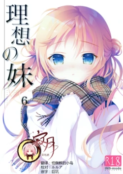 (C93) [INS-mode (Amanagi Seiji)] Risou no Imouto 6 [Chinese] [寂月汉化组]