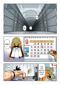 Page 53