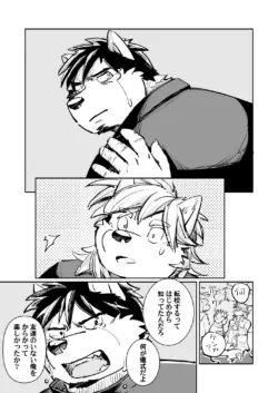 Page 97