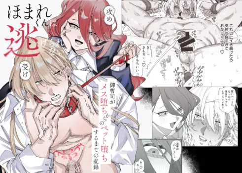 [ たいへんよくできました。 (はしゃぐ)] ほまれくんは逃げられない～御曹司がメス堕ちからのペット堕ちするまでの記録～