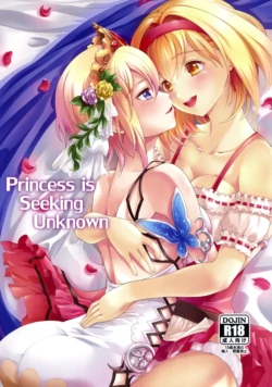 (C95) [Memoria (Tilm)] Princess is Seeking Unknown (Granblue Fantasy) (MTL)