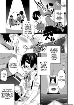 Page 153