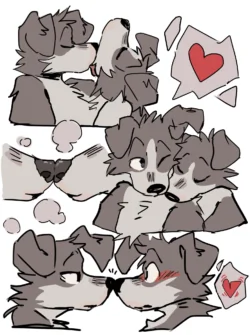 20258270344