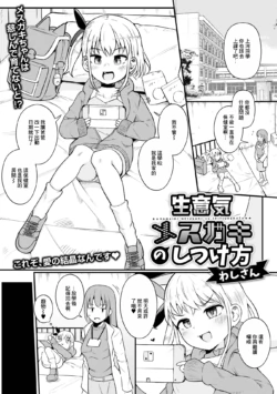 [Wasisan] Namaiki Mesugaki no Shitsukekata (Digital Puni Pedo! Vol. 30) [Chinese]
