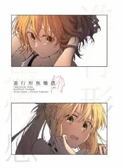 (C105) [正八面体展開図 (somori)] 進行形焦燥感 (Fate/Grand Order) [Sample]
