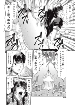 Page 217