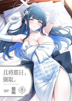 (C108) [manymanyrain (Amagasa Ikuta)] Sono Hi o, Tsume. - carpe diem | 且将那日、撷取。 (Blue Archive) [Chinese] [欶澜汉化组]