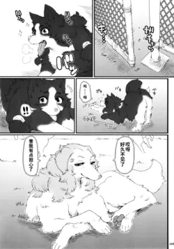 (C89) [Mayoineko (Nezumin)] Dog Park (Kemokko Lovers 6) [Chinese]
