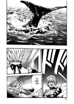 Page 731