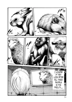 Page 735
