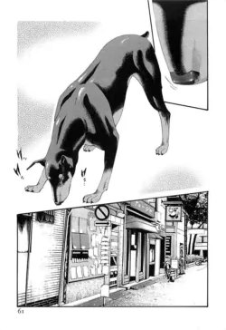 Page 529