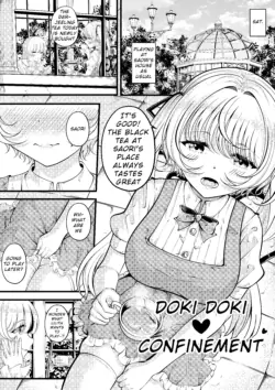 [Gin-chan] Lilith's Troubles—Doki Doki Confinement