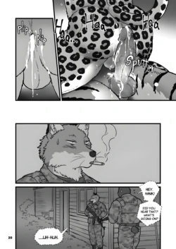 Page 251