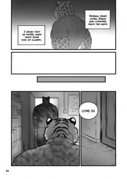 Page 255