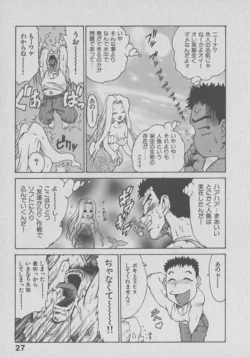 Page 27