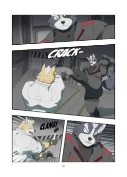 Page 37