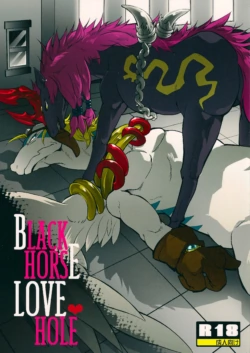 (C80) [Kimidori (Various)] Black Horse Love Hole (Legendz: Tale of the Dragon Kings) [English] [Decensored] [Colorized]