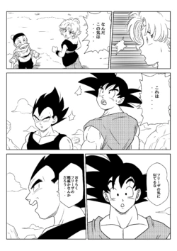 Page 219
