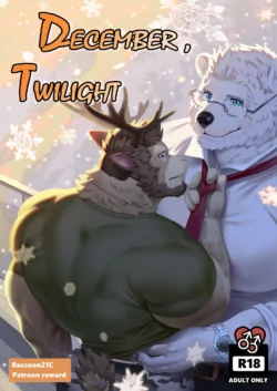 [Raccoon21] December, Twilight