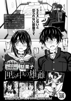 Page 291