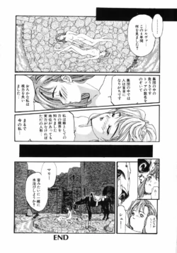 Page 244
